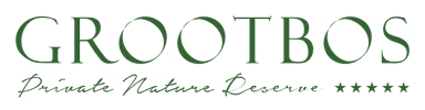 Grootbos Private Nature Reserve